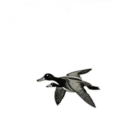 animal, creature, jewelry, staff transparent PNG cut-out
