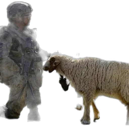 animal, weapon, concept art, 3d render transparent PNG cut-out