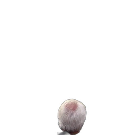 hair, hat, staff, creature transparent PNG cut-out