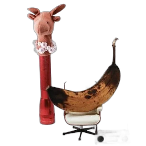staff, furniture, animal, food transparent PNG cut-out