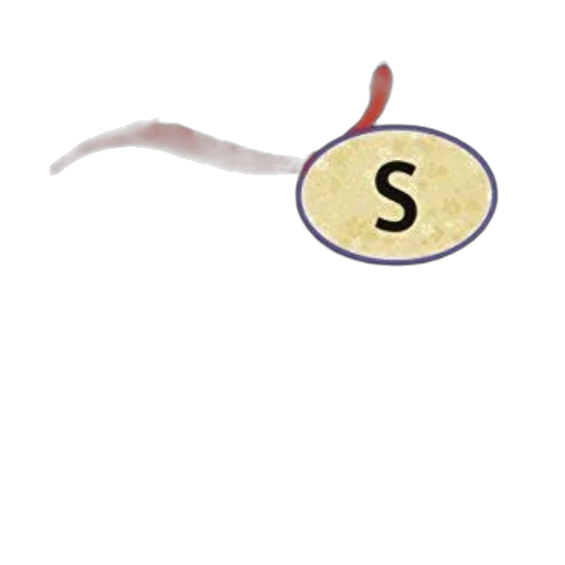 food, hair, staff, jewelry transparent PNG cut-out