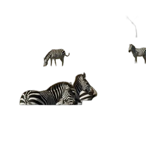 animal, creature, furniture, jewelry transparent PNG cut-out