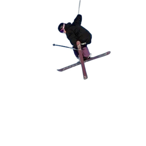 staff, sword, weapon, animal transparent PNG cut-out
