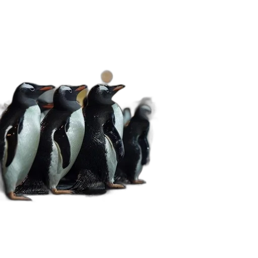 animal, staff, crown, shoes transparent PNG cut-out