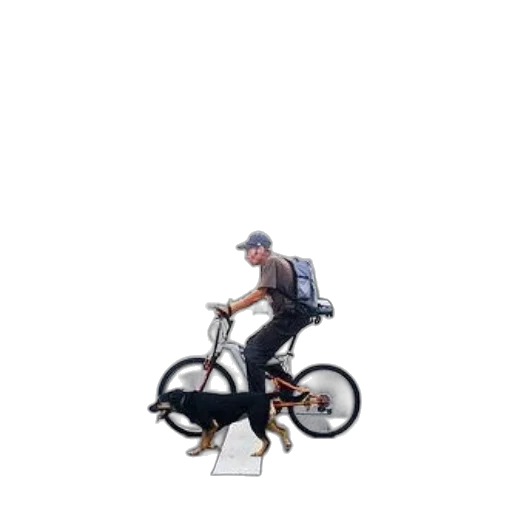 animal, creature, car, robot transparent PNG cut-out