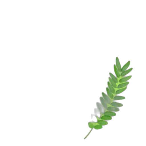 weapon, hair, flower, dragon transparent PNG cut-out