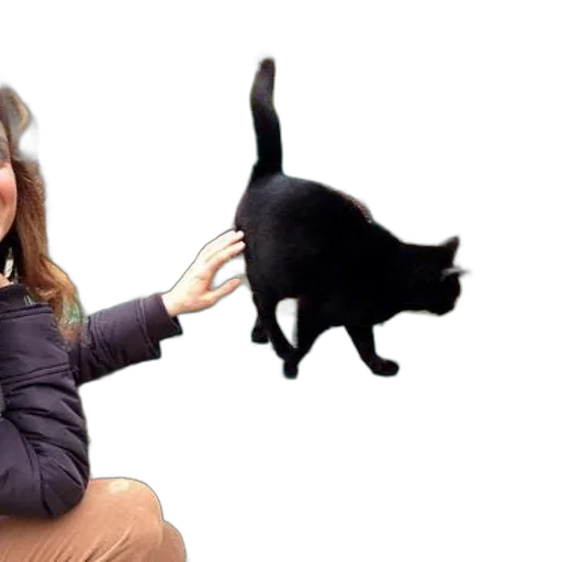 animal, hat, staff, creature transparent PNG cut-out