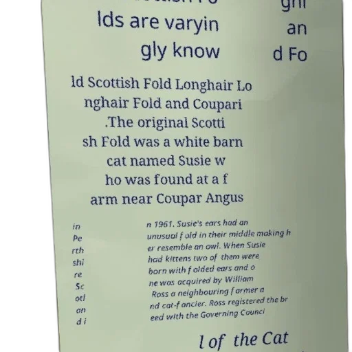 bottle, poster, text, about transparent PNG cut-out