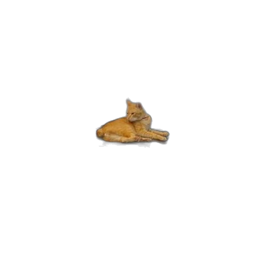 shoes, jewelry, hat, furniture transparent PNG cut-out