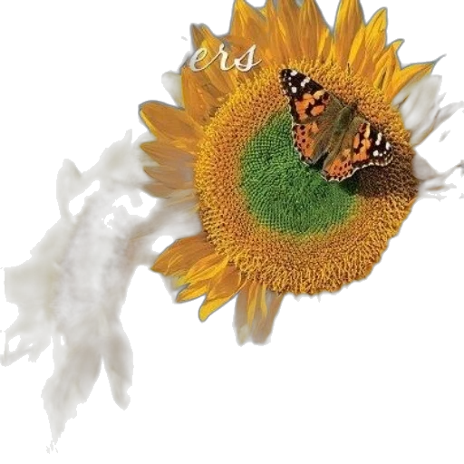 flower, crown, jewelry, animal transparent PNG cut-out