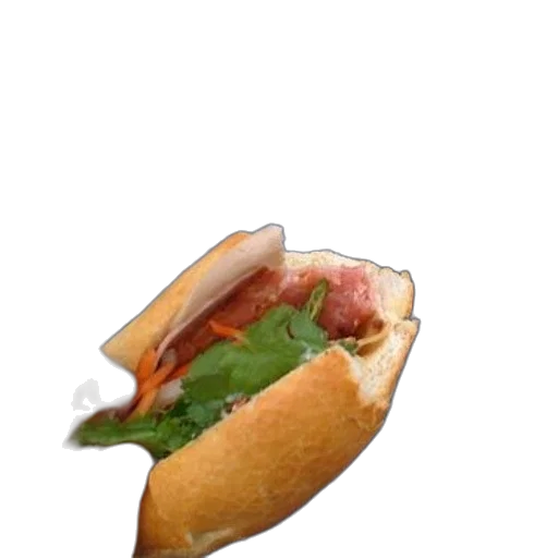 food, animal, weapon, umbrella transparent PNG cut-out