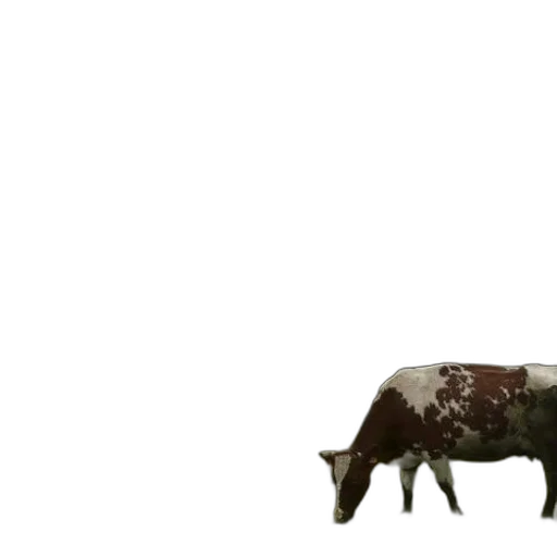 animal, creature, food, furniture transparent PNG cut-out