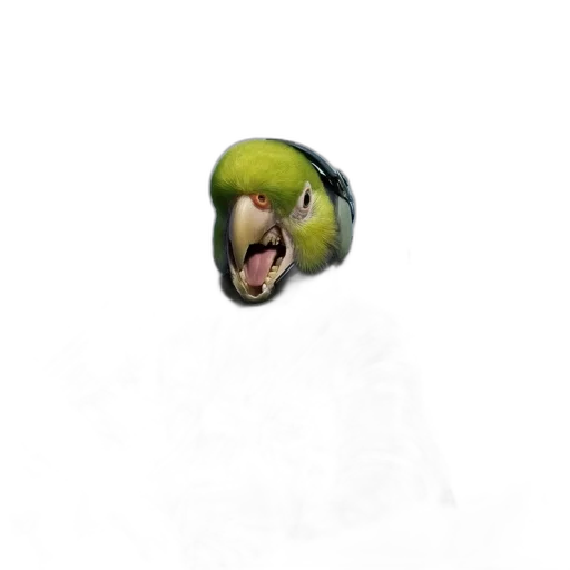 creature, animal, mask, face transparent PNG cut-out