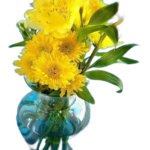 flower, crown, bottle, jewelry transparent PNG cut-out
