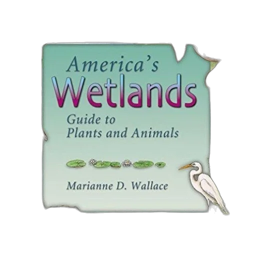 colorful, book, cover, titled transparent PNG cut-out