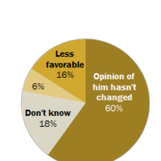 pie, chart, showing, opinions transparent PNG cut-out