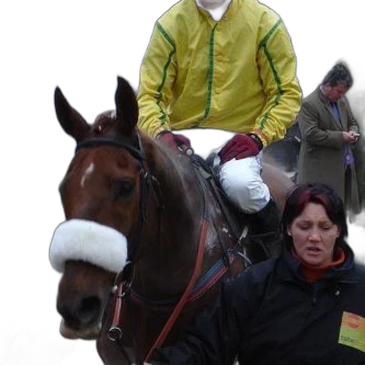staff, jockey, yellow, jacket transparent PNG cut-out