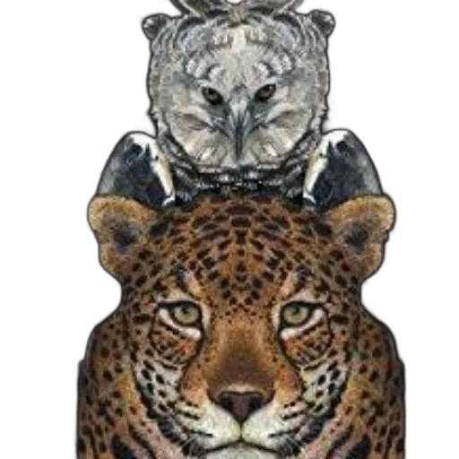 jewelry, animal, crown, mask transparent PNG cut-out