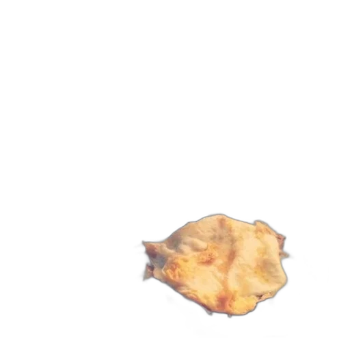 food, animal, umbrella, creature transparent PNG cut-out