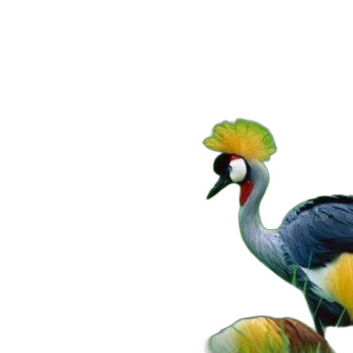 animal, creature, staff, jewelry transparent PNG cut-out