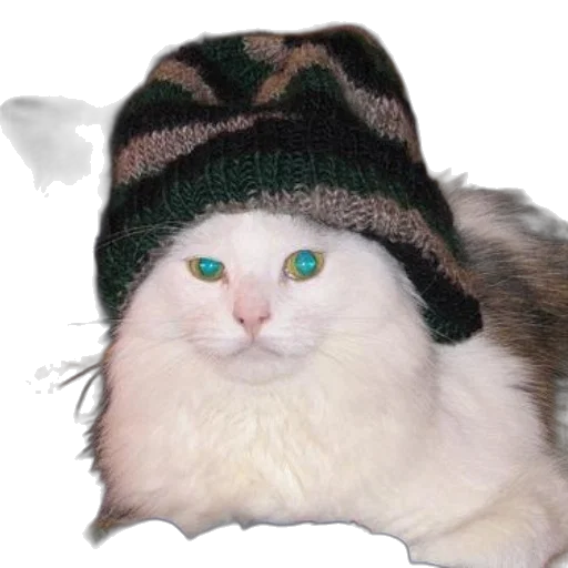hat, animal, creature, staff transparent PNG cut-out