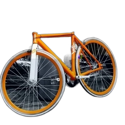 3d render, photorealistic, concept art, vibrant transparent PNG cut-out