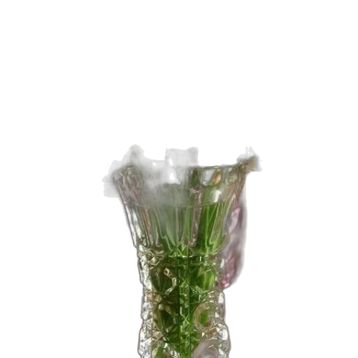 bottle, crown, flower, dress transparent PNG cut-out