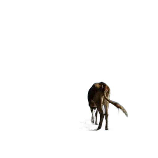 animal, creature, staff, dragon transparent PNG cut-out