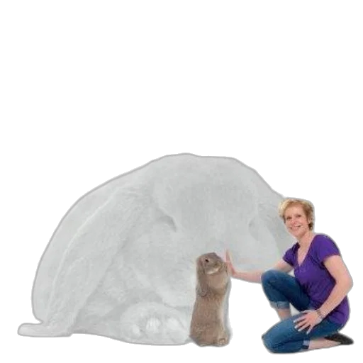 hat, animal, creature, umbrella transparent PNG cut-out