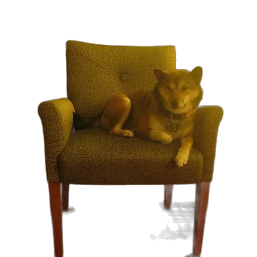furniture, animal, staff, creature transparent PNG cut-out