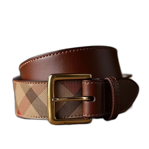 jewelry, earth tones, burberry, belt transparent PNG cut-out
