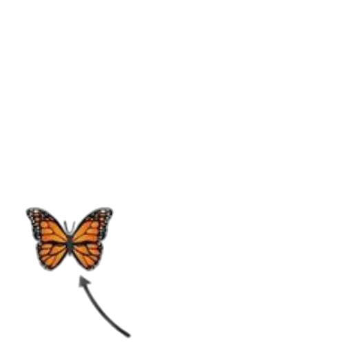 animal, flower, creature, staff transparent PNG cut-out