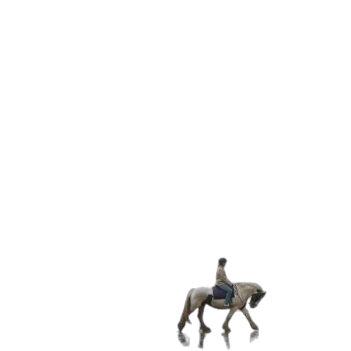 animal, robot, furniture, creature transparent PNG cut-out