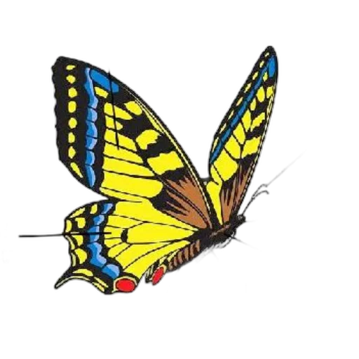animal, jewelry, staff, crown transparent PNG cut-out