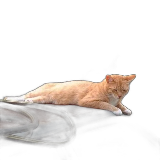 animal, creature, weapon, staff transparent PNG cut-out