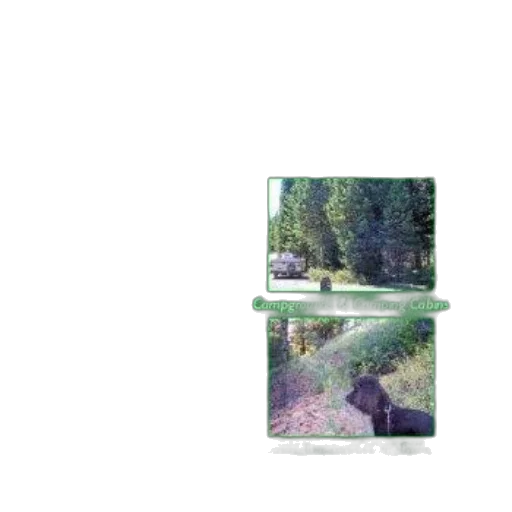 tree, car, robot, animal transparent PNG cut-out