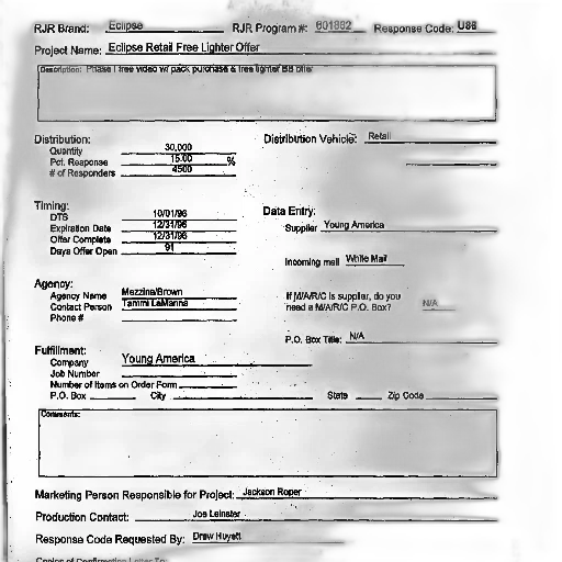 form, various, fields, filled transparent PNG cut-out