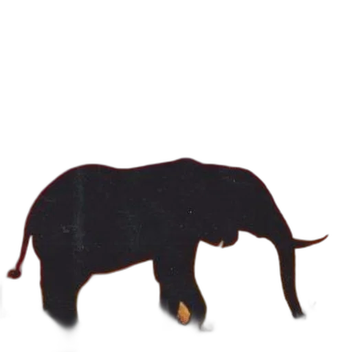 animal, creature, staff, hair transparent PNG cut-out