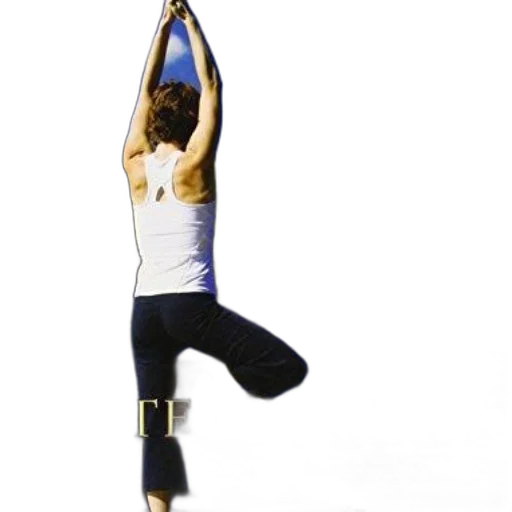 staff, book, cover, titled transparent PNG cut-out