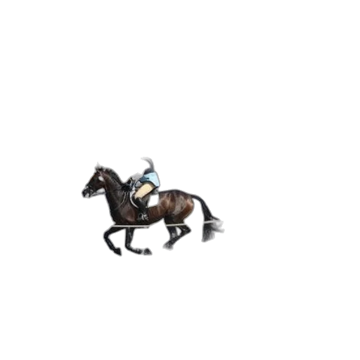 animal, staff, hat, creature transparent PNG cut-out