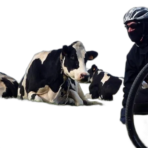 mask, animal, weapon, cyclist transparent PNG cut-out