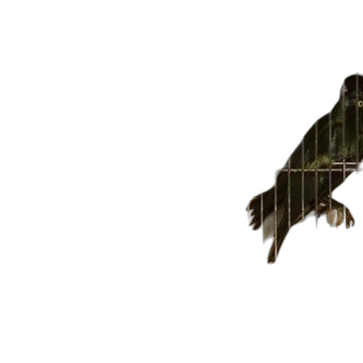animal, creature, dragon, weapon transparent PNG cut-out