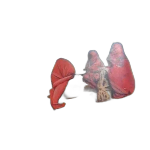 jewelry, umbrella, staff, mask transparent PNG cut-out