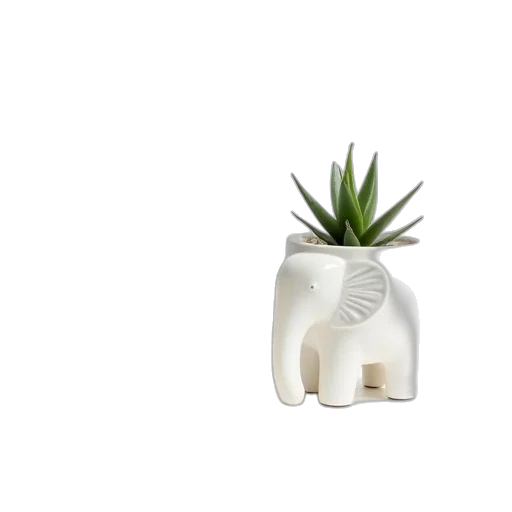 furniture, bottle, crown, flower transparent PNG cut-out