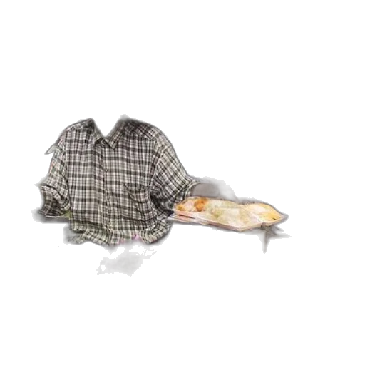 jacket, hat, umbrella, dress transparent PNG cut-out