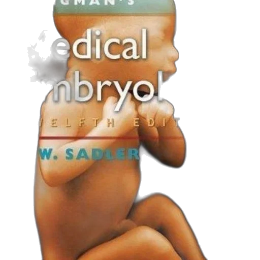 3d render, cover, langman, medical transparent PNG cut-out