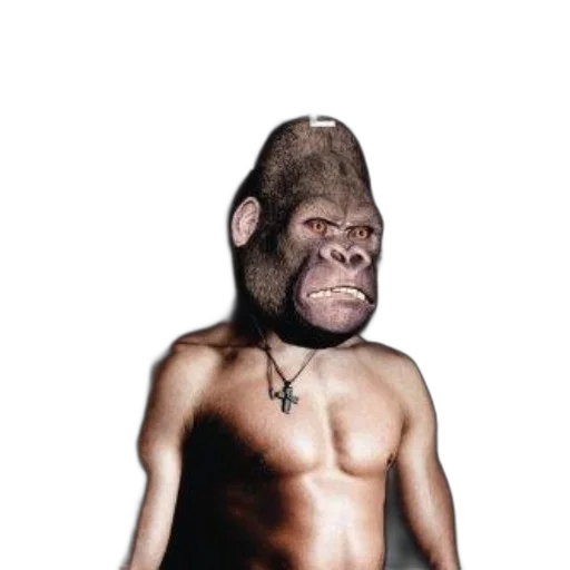 creature, animal, mask, face transparent PNG cut-out