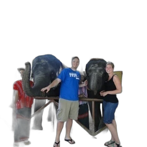 umbrella, animal, staff, furniture transparent PNG cut-out