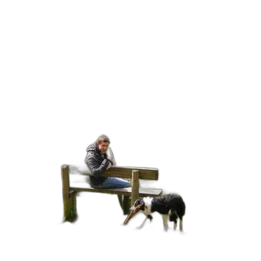 animal, furniture, creature, staff transparent PNG cut-out
