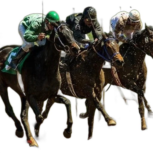 horse, racing, action, jockeys transparent PNG cut-out